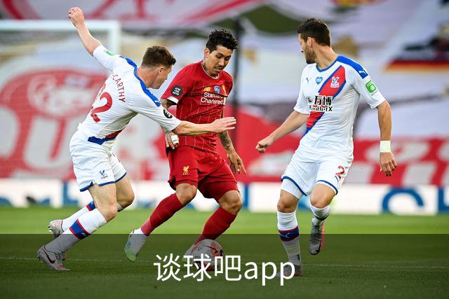 谈球吧app公司简介